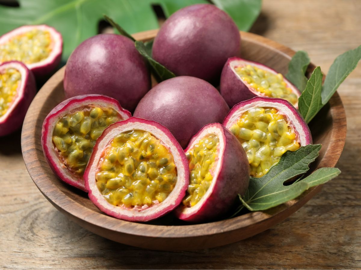 Passionfruit – a survival story –